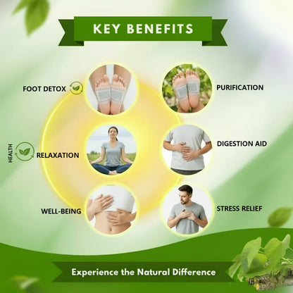Natural Detox Foot Patches(Buy 1 Get 1 Free)